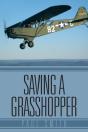 Saving A Grasshopper - Preview