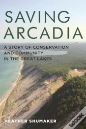 Capa do artigo Saving Arcadia