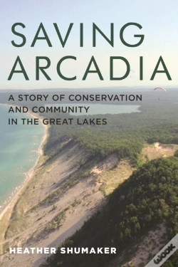 Capa do artigo Saving Arcadia