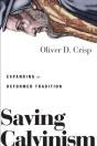 Saving Calvinism - Preview