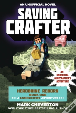 Capa do artigo Saving Crafter
