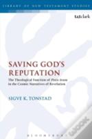 Saving God'S Reputation