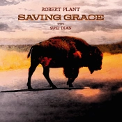 Capa do artigo Saving Grace - Vinil