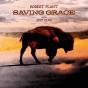 Saving Grace - Vinil - Preview