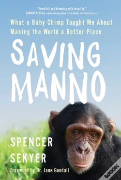 Capa do artigo Saving Manno