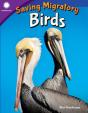 Saving Migratory Birds - Preview