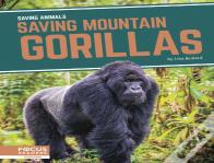 Saving Mountain Gorillas