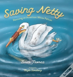 Capa do artigo Saving Netty