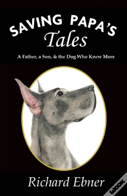 Capa do artigo Saving Papa'S Tales