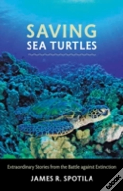 Capa do artigo Saving Sea Turtles