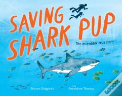 Saving Shark Pup