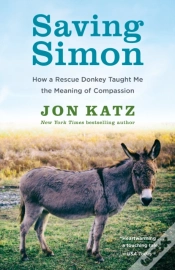 Capa do artigo Saving Simon