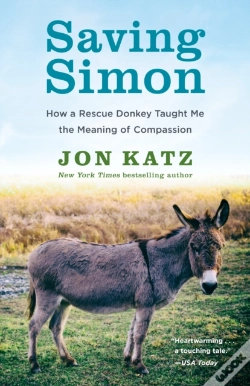 Capa do artigo Saving Simon