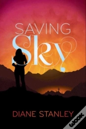 Capa do artigo Saving Sky