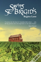 Capa do artigo Saving St Brigid