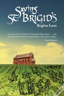 Capa do artigo Saving St Brigid'S