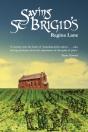 Saving St Brigid'S - Preview