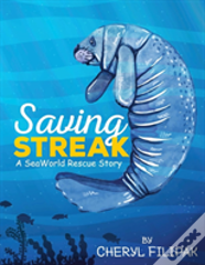 Saving Streak