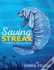 Saving Streak