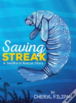 Capa do artigo Saving Streak