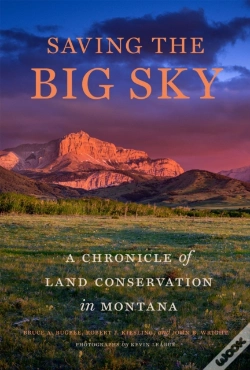 Capa do artigo Saving The Big Sky