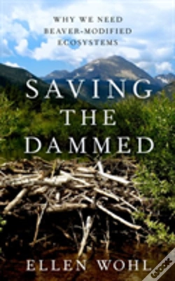 Capa do artigo Saving The Dammed