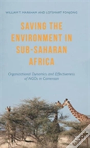 Capa do artigo Saving The Environment In Sub-Saharan Africa