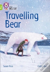 Saving The Ice Bear