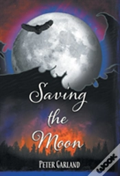 Capa do artigo Saving The Moon