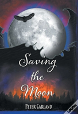Capa do artigo Saving The Moon