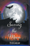 Saving The Moon