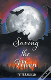 Capa do artigo Saving The Moon