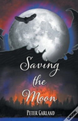 Capa do artigo Saving The Moon