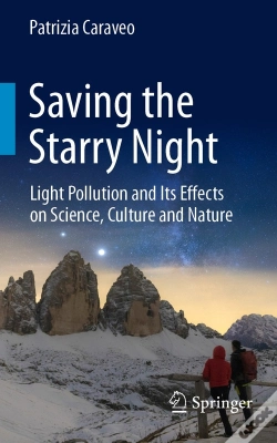 Capa do artigo Saving The Starry Night