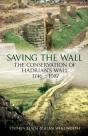 Saving The Wall - Preview
