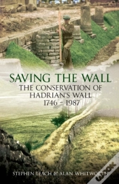 Capa do artigo Saving The Wall