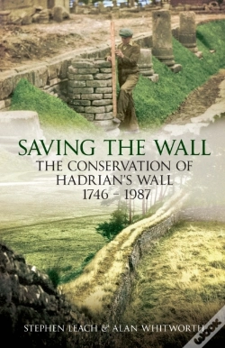 Capa do artigo Saving The Wall
