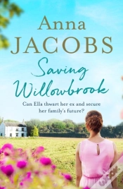 Capa do artigo Saving Willowbrook