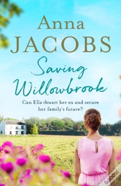 Capa do artigo Saving Willowbrook