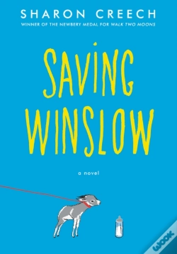 Capa do artigo Saving Winslow