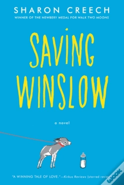Capa do artigo Saving Winslow