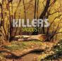Sawdust - Vinil - Preview