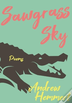 Capa do artigo Sawgrass Sky