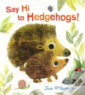 Capa do artigo Say Hi To Hedgehogs!