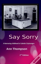 Capa do artigo Say Sorry