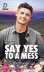 Say Yes To A Mess - Preview