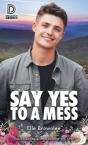 Say Yes To A Mess - Preview