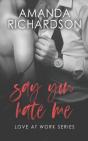 Say You Hate Me - Preview