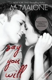 Say You Will