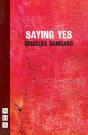 Saying Yes - Preview